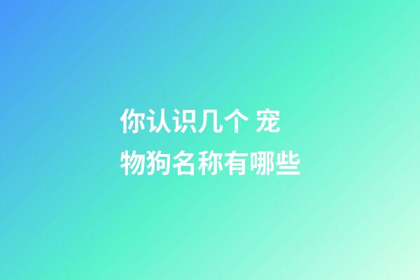 你认识几个 宠物狗名称有哪些